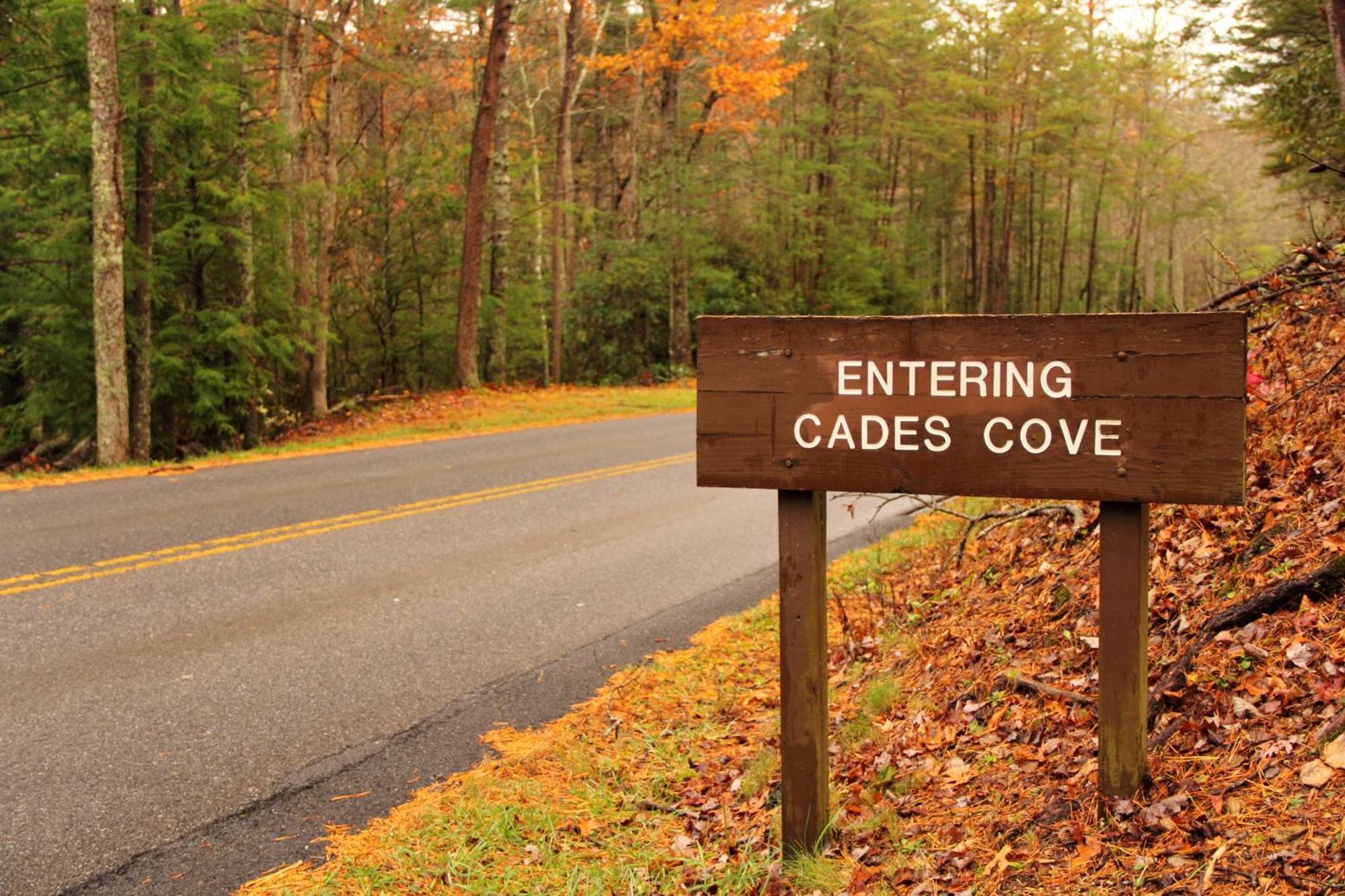 Maple Trails, Wifi, 1089 Free Tickets Each Paid Day, Dollywood And More Gatlinburg Exterior photo